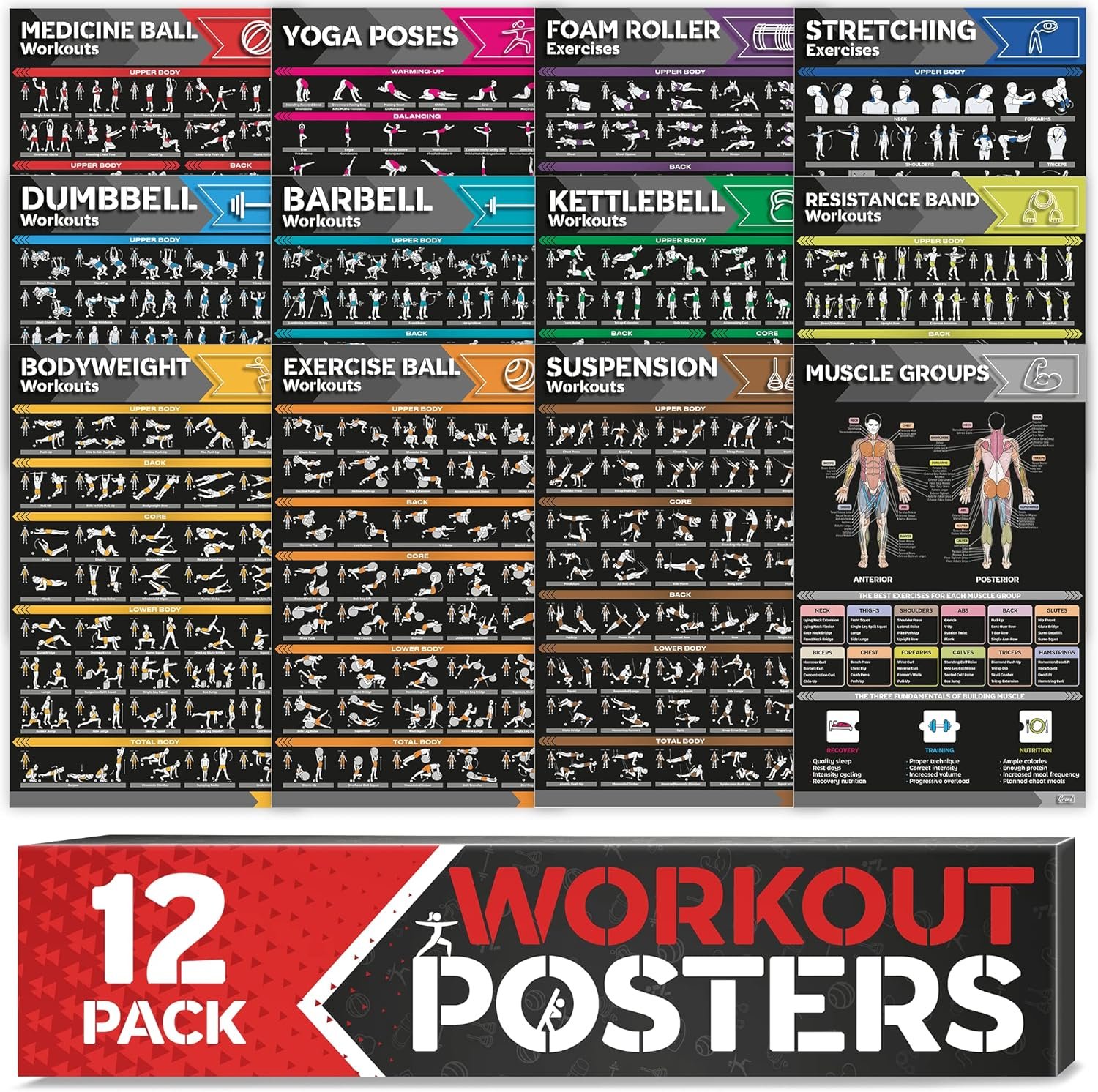 Laminated Workout Poster Set Review